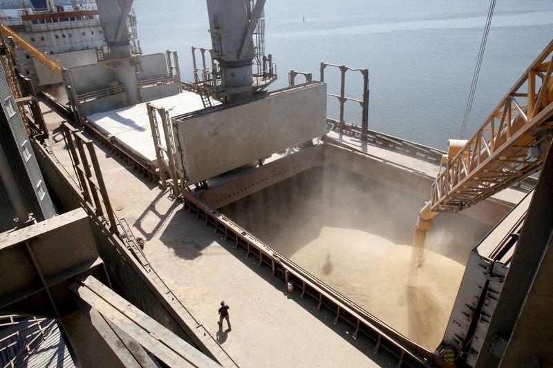 FILE PHOTO: A dockyard worker watches as barley grain is