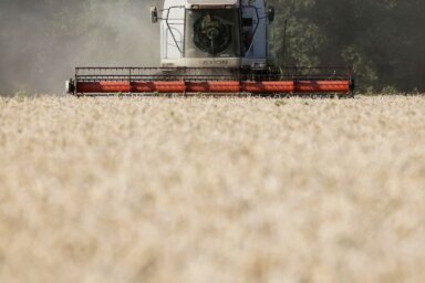 FILE PHOTO: An employee operates a combine as he harvests