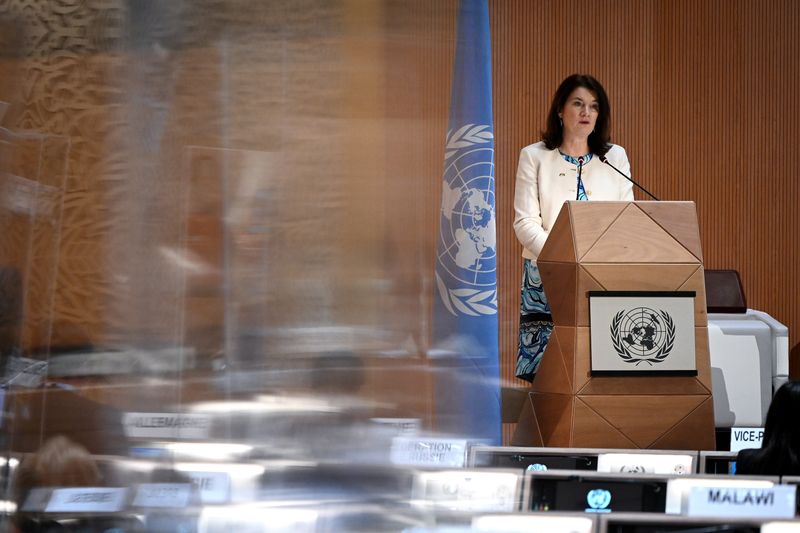 FILE PHOTO: UN Human Rights Council in Geneva